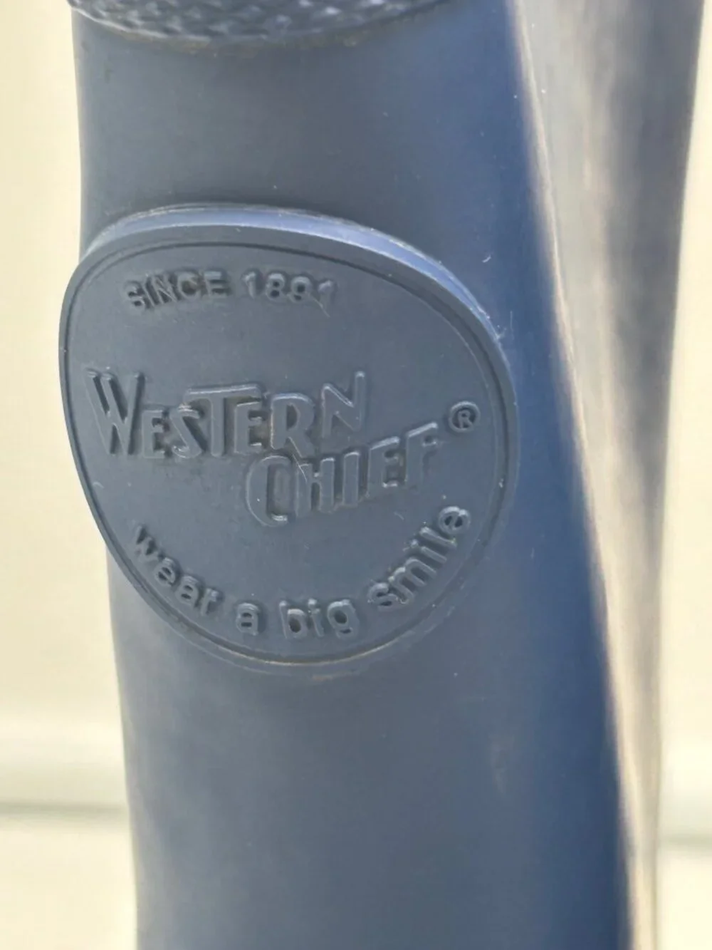 Western Chief Kids’ Blue Rubber Boots (DO NOT LIGTH UP) , Size 2 (little kid),